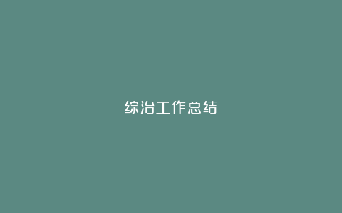 综治工作总结