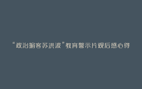 “政治掮客苏洪波”教育警示片观后感心得精选