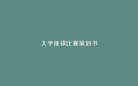 大学排球比赛策划书