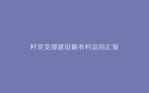 村党支部建设新农村总结汇报