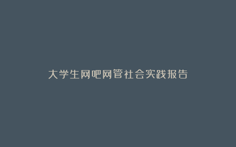 大学生网吧网管社会实践报告