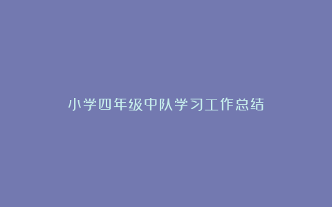 小学四年级中队学习工作总结