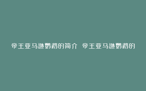 帝王亚马逊鹦鹉的简介 帝王亚马逊鹦鹉的产地