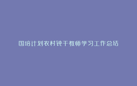 国培计划农村骨干教师学习工作总结