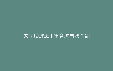 大学助理班主任竞选自我介绍