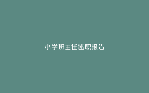 小学班主任述职报告