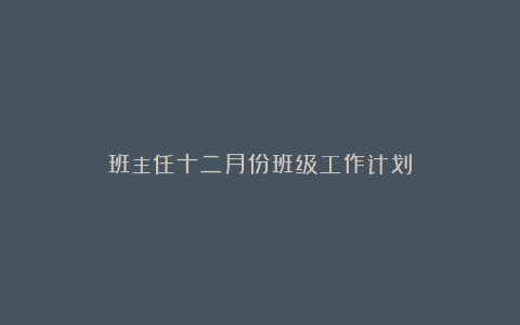 班主任十二月份班级工作计划