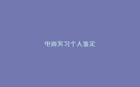 电商实习个人鉴定