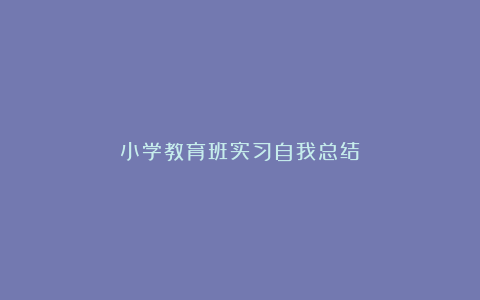 小学教育班实习自我总结