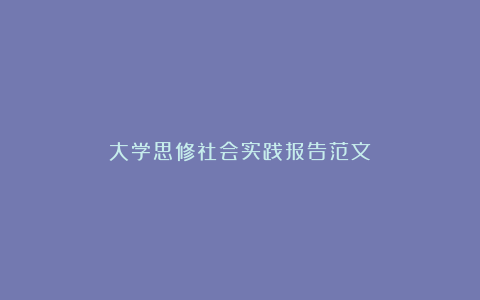 大学思修社会实践报告范文