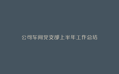 公司车间党支部上半年工作总结