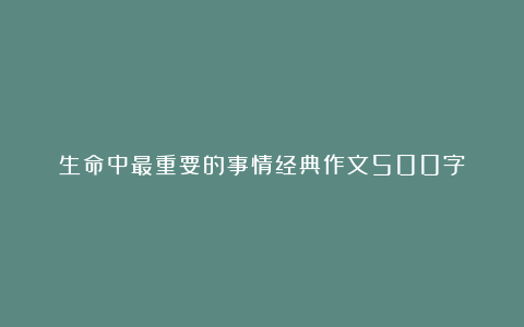 生命中最重要的事情经典作文500字