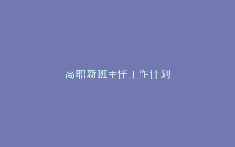 高职新班主任工作计划