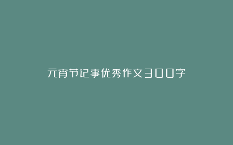 元宵节记事优秀作文300字