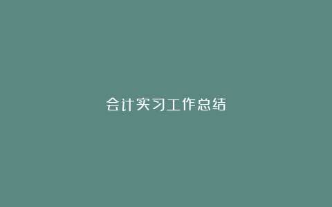 会计实习工作总结