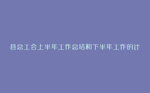 县总工会上半年工作总结和下半年工作的计划