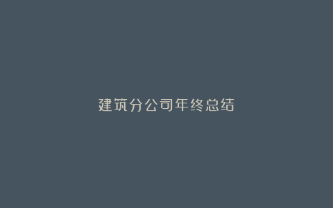 建筑分公司年终总结