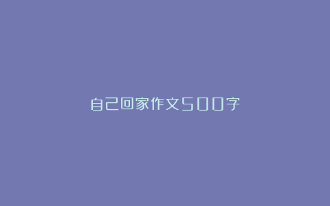 自己回家作文500字