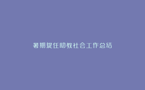 暑期提任助教社会工作总结