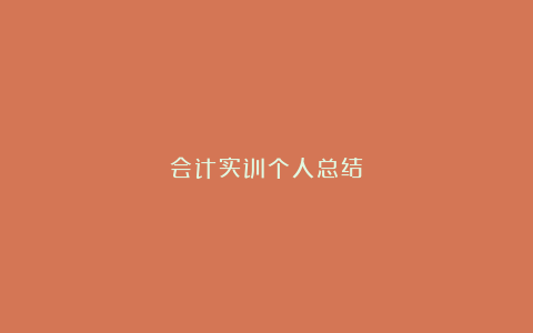 会计实训个人总结