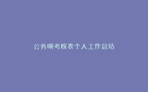 公务员考核表个人工作总结