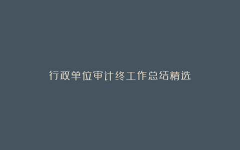 行政单位审计终工作总结精选