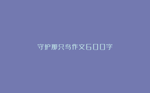 守护那只鸟作文600字