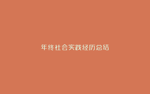 年终社会实践经历总结