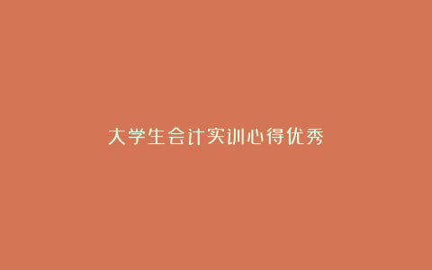 大学生会计实训心得优秀