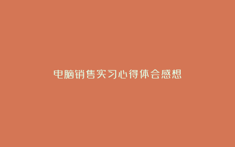 电脑销售实习心得体会感想