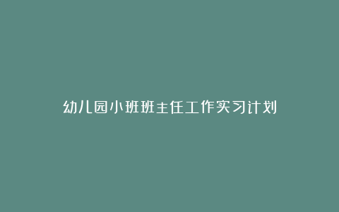 幼儿园小班班主任工作实习计划