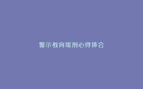 警示教育缓刑心得体会