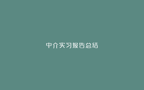 中介实习报告总结