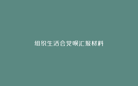 组织生活会党员汇报材料