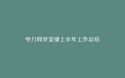 电力局党支部上半年工作总结