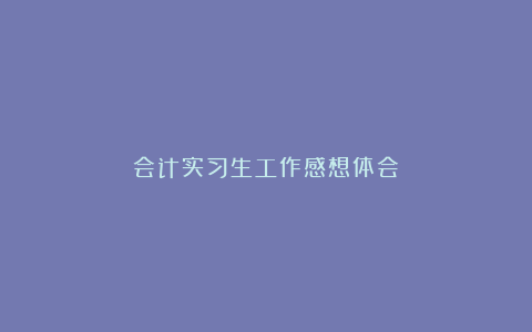 会计实习生工作感想体会