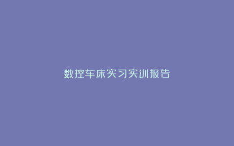 数控车床实习实训报告