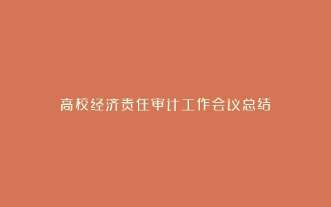 高校经济责任审计工作会议总结