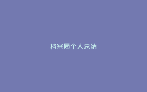 档案局个人总结