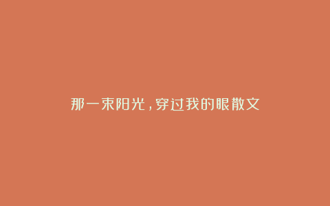 那一束阳光，穿过我的眼散文