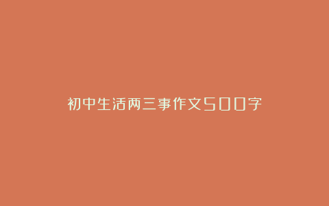 初中生活两三事作文500字