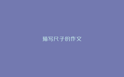 描写尺子的作文