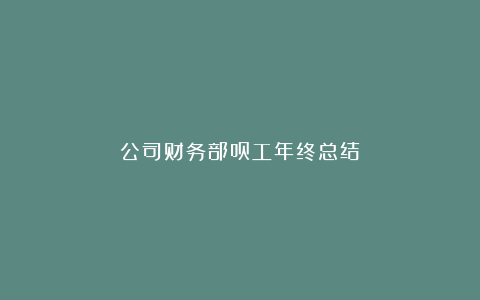 公司财务部员工年终总结