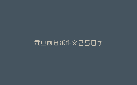 元旦同台乐作文250字