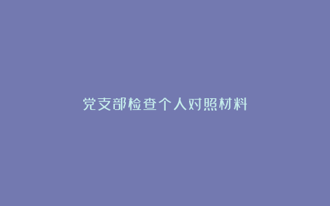 党支部检查个人对照材料