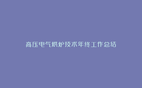 高压电气烘炉技术年终工作总结