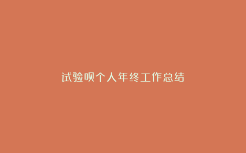 试验员个人年终工作总结