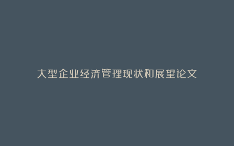 大型企业经济管理现状和展望论文