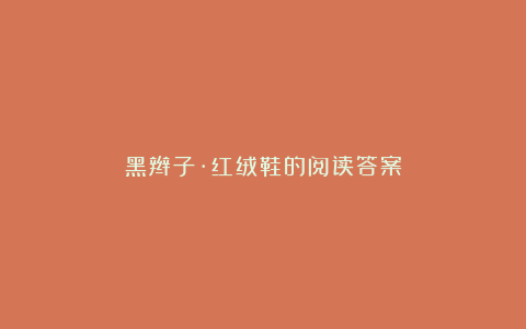 黑辫子·红绒鞋的阅读答案