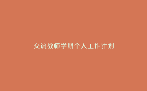 交流教师学期个人工作计划